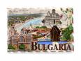 Магнитна пластинка - България