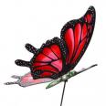 Пеперуда на пружинка